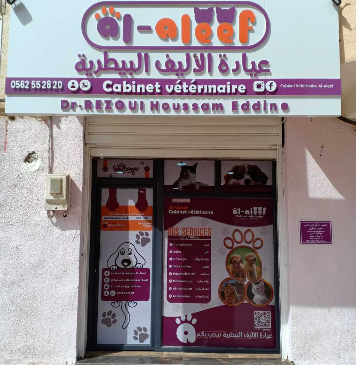 البيطرة